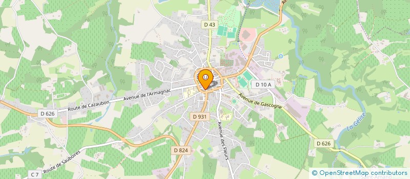 localisation de l'entreprise MONSIEUR ALLAN DO AMARAL  EAUZE