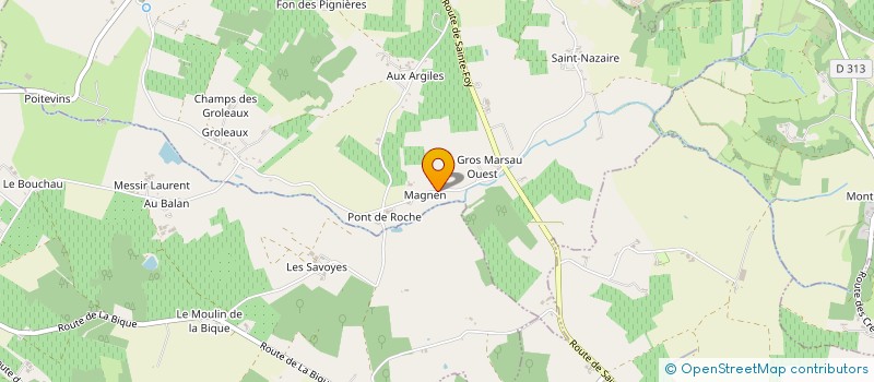 localisation de l'entreprise MONSIEUR ALLAN WOODLEY  SAINT-ASTIER