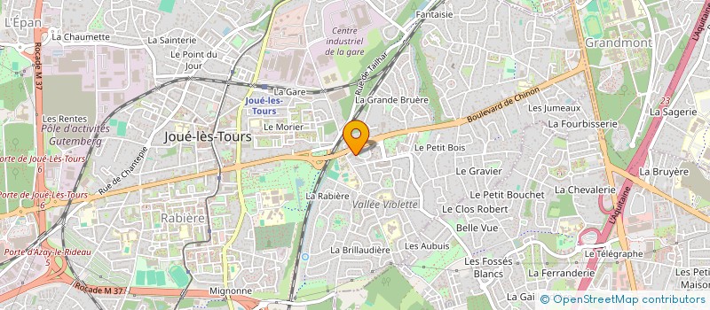 localisation de l'entreprise MONSIEUR ALLYRE PAIN  JOUE-LES-TOURS