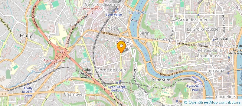 localisation de l'entreprise MONSIEUR ALOU COULIBALY  LYON