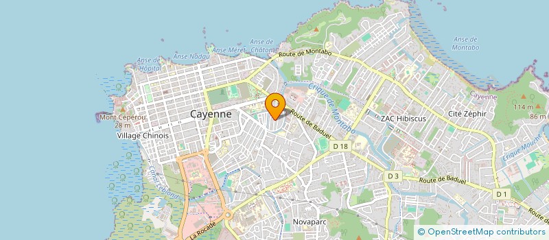 localisation de l'entreprise MONSIEUR ALVIN ARON à CAYENNE