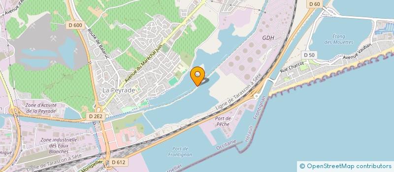 localisation de l'entreprise MONSIEUR ALYSSON HERLEMANN à FRONTIGNAN