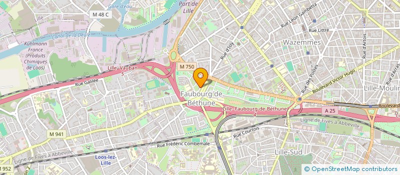 localisation de l'entreprise MONSIEUR AMADOU DIALLO à LILLE