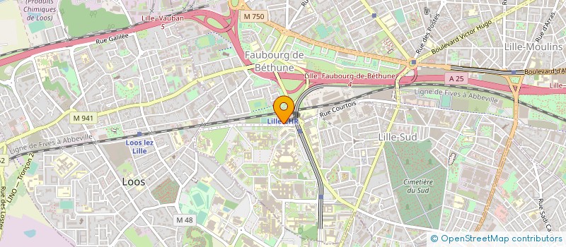 localisation de l'entreprise MONSIEUR AMADOU THIOYE à LILLE