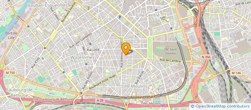 localisation de l'entreprise MONSIEUR AMADU DARAME à LILLE