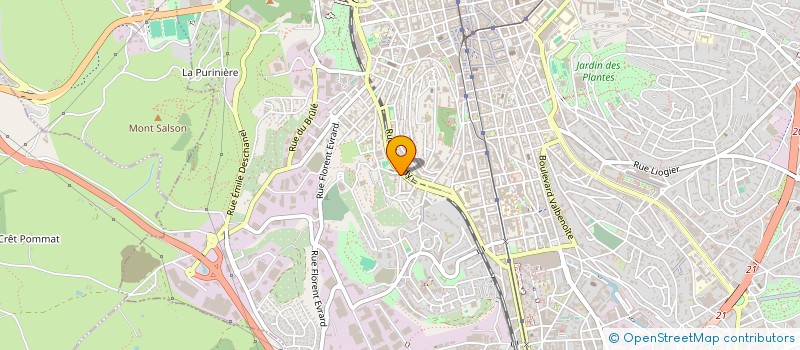 localisation de l'entreprise MONSIEUR AMAR BENMANSOUR  SAINT-ETIENNE