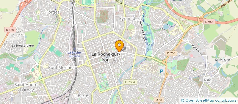 localisation de l'entreprise MONSIEUR AMARA KANE à LA ROCHE-SUR-YON