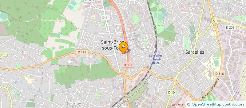 localisation de l'entreprise MONSIEUR AMAROU DIALLO  SAINT-BRICE-SOUS-FORET