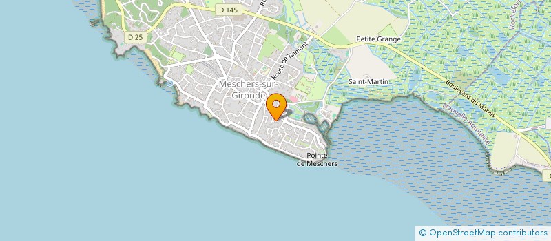 localisation de l'entreprise MONSIEUR AMAURY BONNIN  MESCHERS-SUR-GIRONDE