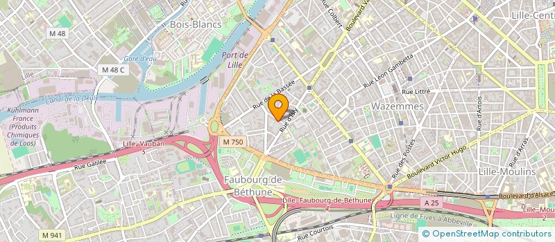 localisation de l'entreprise MONSIEUR AMAURY DESRAMAUT  LILLE