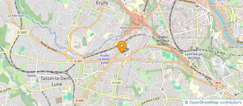 localisation de l'entreprise MONSIEUR AMAURY LE MESRE DE PAS  TASSIN-LA-DEMI-LUNE