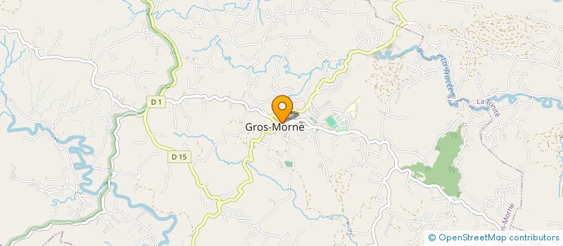 localisation de l'entreprise MONSIEUR AMEDEE MARIE-JOSEPH  GROS-MORNE