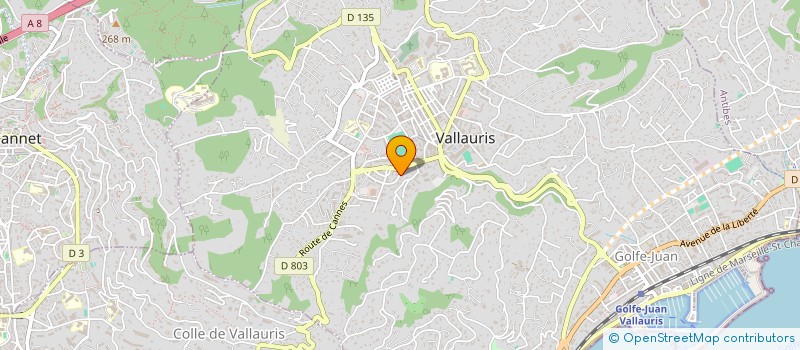 localisation de l'entreprise MONSIEUR AMEDEO VOLATO SCUOTTO à VALLAURIS