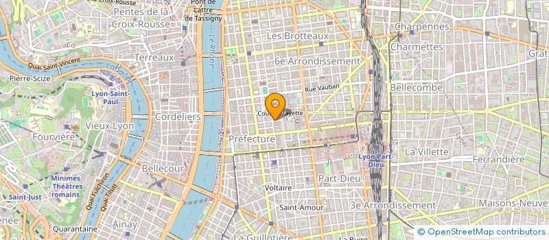 localisation de l'entreprise MONSIEUR AMELIA DE SOUZA  LYON