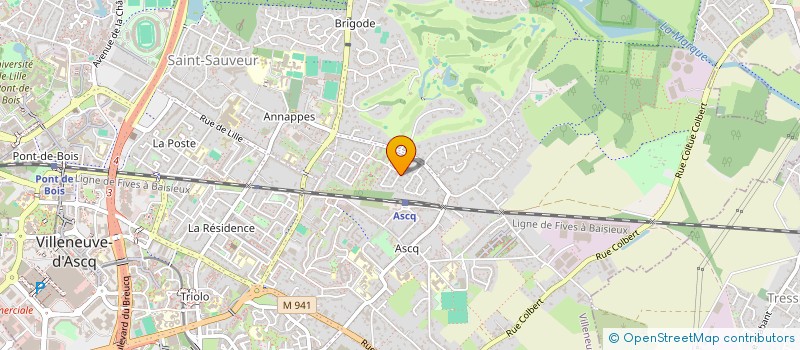 localisation de l'entreprise MONSIEUR AMERICO FERREIRA DA SILVA à VILLENEUVE-D'ASCQ