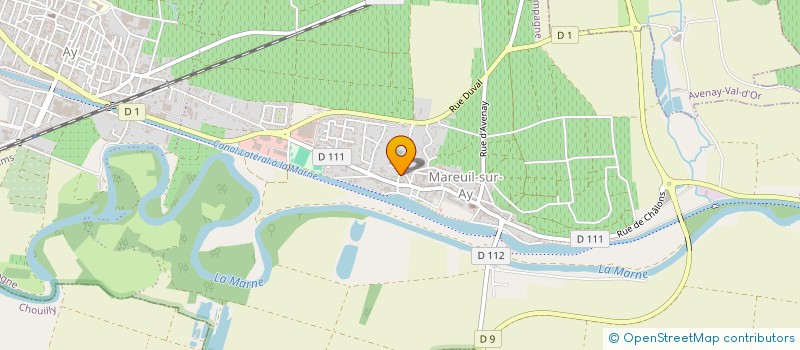 localisation de l'entreprise MONSIEUR AMERICO MOUTINHO  AY-CHAMPAGNE