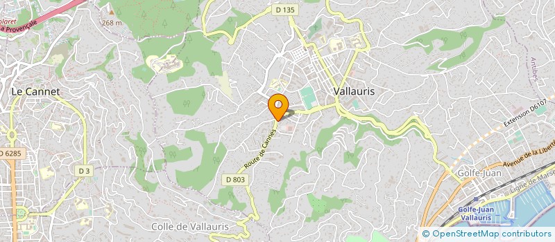 localisation de l'entreprise MONSIEUR AMINE AMRI à VALLAURIS