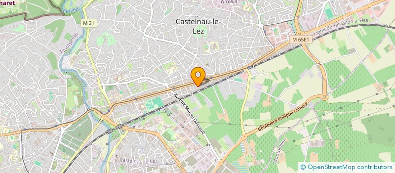localisation de l'entreprise MONSIEUR AMINE CAMARA  CASTELNAU-LE-LEZ