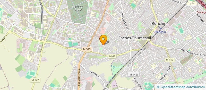 localisation de l'entreprise MONSIEUR AMINE REZIKI  FACHES-THUMESNIL