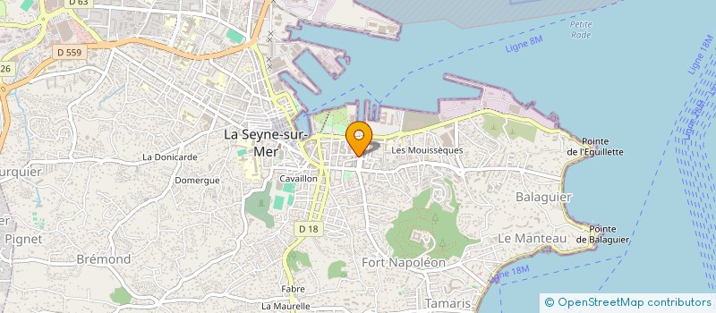 localisation de l'entreprise MONSIEUR AMINE SAHRANE à LA SEYNE-SUR-MER