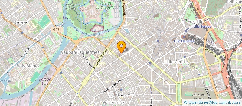 localisation de l'entreprise MONSIEUR AMINE TAMIMOUNT  LILLE