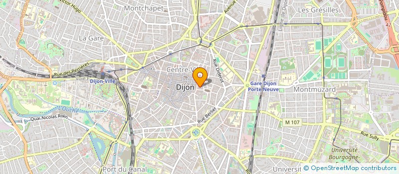 localisation de l'entreprise MONSIEUR AMINE VDOUXAMI  DIJON