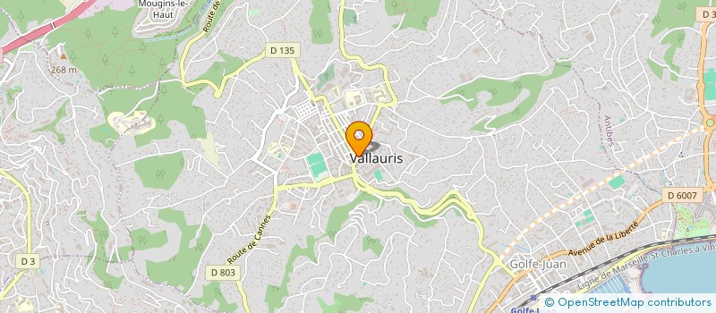localisation de l'entreprise MONSIEUR AMIR HACHMI à VALLAURIS