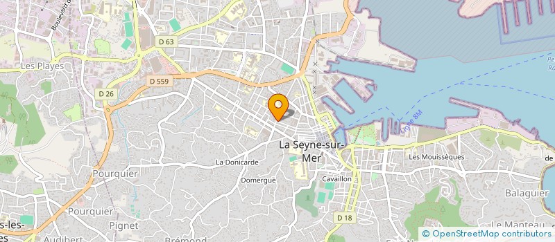 localisation de l'entreprise MONSIEUR AMIR JEDDI à LA SEYNE-SUR-MER