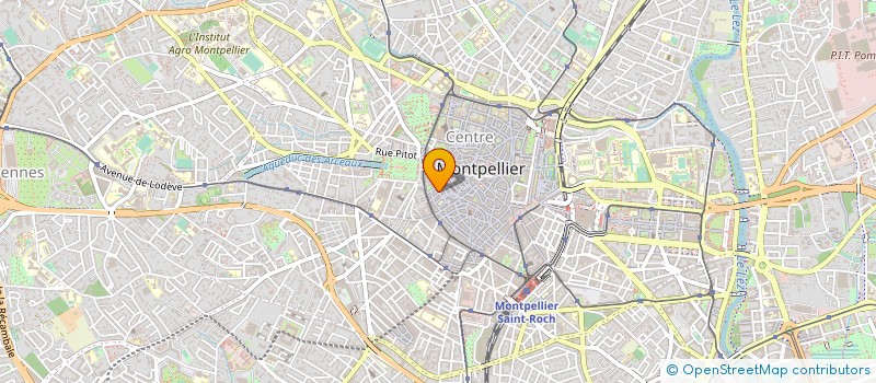 localisation de l'entreprise MONSIEUR AMMAR IRENE à MONTPELLIER