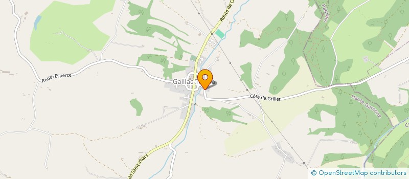 localisation de l'entreprise MONSIEUR AMORAS TRIFESCU  GAILLAC-TOULZA