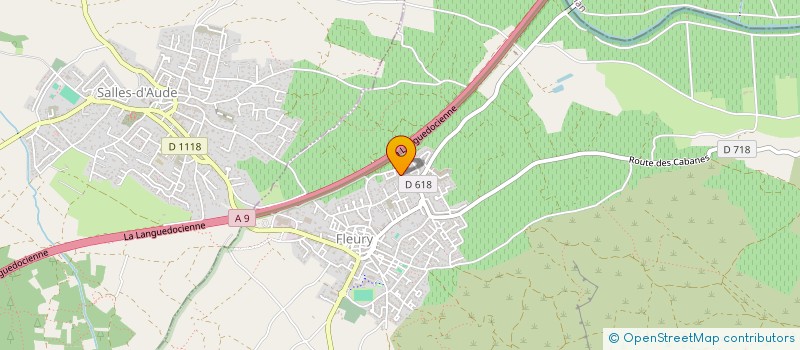 localisation de l'entreprise MONSIEUR ANAEL MAMODE HOSSEN  FLEURY