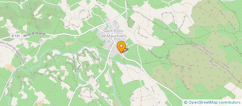 localisation de l'entreprise MONSIEUR ANAEL MORANDINI  SAINT-PONS-DE-MAUCHIENS