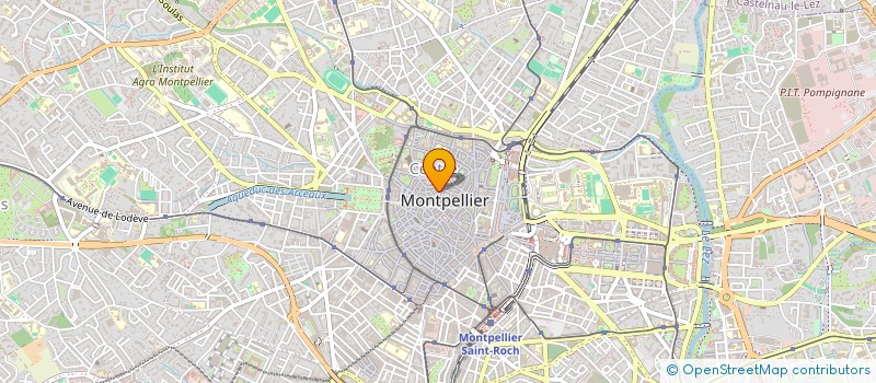 localisation de l'entreprise MONSIEUR ANAS ALTWATY à MONTPELLIER