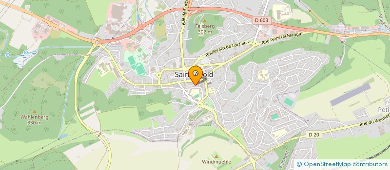 localisation de l'entreprise MONSIEUR ANAS DERMAOUI  SAINT-AVOLD