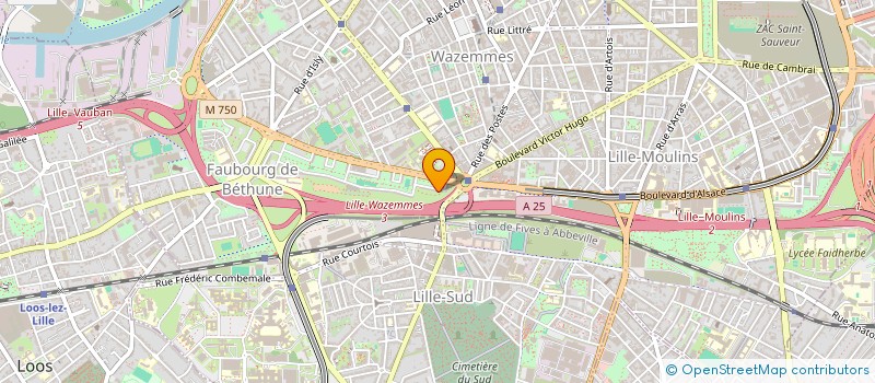 localisation de l'entreprise MONSIEUR ANAS MAZOUZI OUASLATI à LILLE