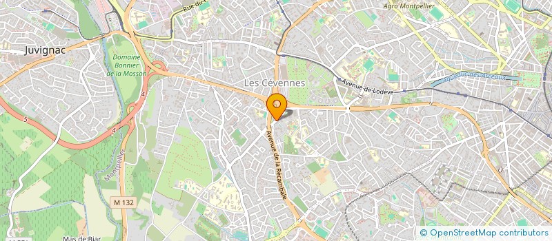 localisation de l'entreprise MONSIEUR ANASSE BARRICHE à MONTPELLIER