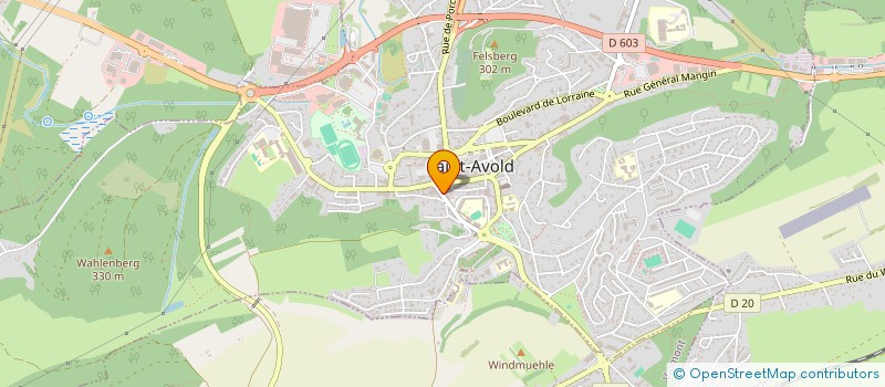 localisation de l'entreprise MONSIEUR ANATOLIE BEJENARU  SAINT-AVOLD