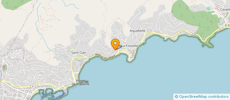 localisation de l'entreprise MONSIEUR ANDRE BLANC à LE LAVANDOU