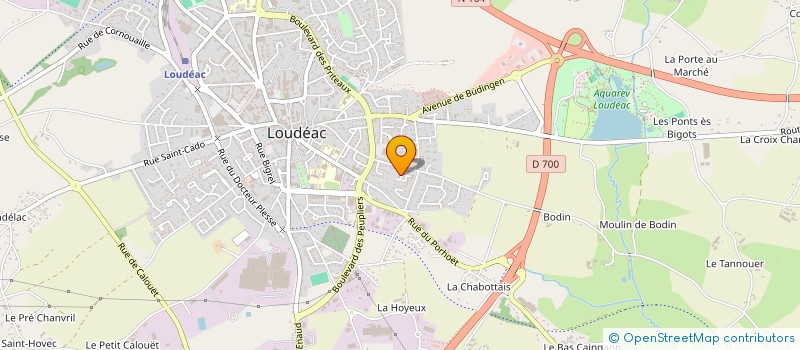 localisation de l'entreprise MONSIEUR ANDRE BOSCHET à LOUDEAC