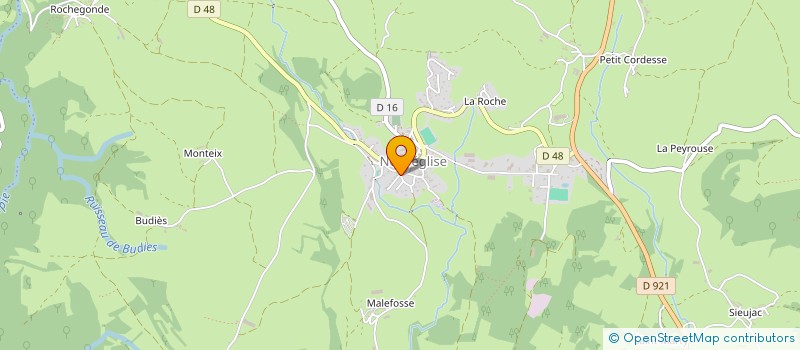 localisation de l'entreprise MONSIEUR ANDRE BRUNEL à NEUVEGLISE-SUR-TRUYERE