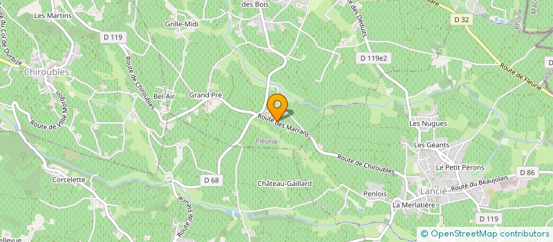 localisation de l'entreprise MONSIEUR ANDRE CHAVANNE à FLEURIE