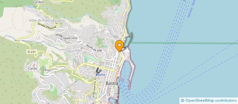 localisation de l'entreprise MONSIEUR ANDRE DA SILVA SOARES à BASTIA