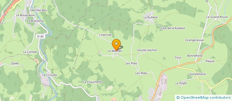 localisation de l'entreprise MONSIEUR ANDRE FORAND à SAINT-DIDIER-EN-VELAY