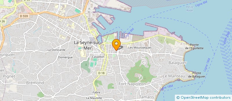 localisation de l'entreprise MONSIEUR ANDRE HAHN à LA SEYNE-SUR-MER