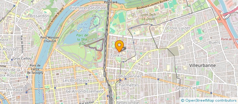 localisation de l'entreprise MONSIEUR ANDRE MARTIN  VILLEURBANNE