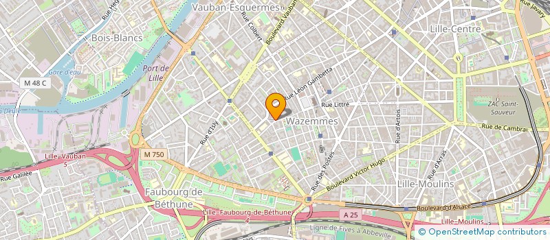 localisation de l'entreprise MONSIEUR ANDRE MIR à LILLE