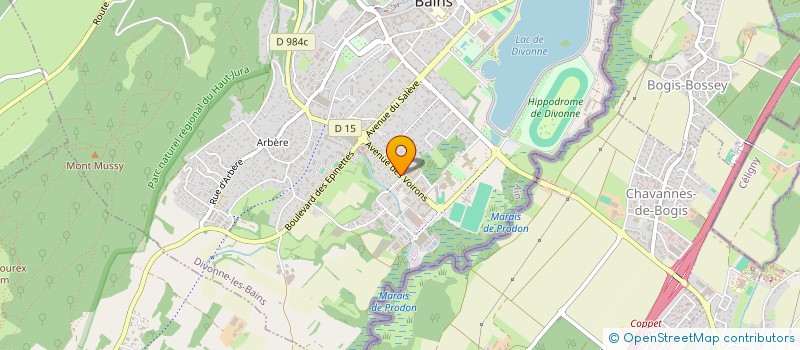 localisation de l'entreprise MONSIEUR ANDRE PODLEWSKI  DIVONNE-LES-BAINS