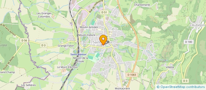 localisation de l'entreprise MONSIEUR ANDRE RAFFIN à SAINT-AMOUR