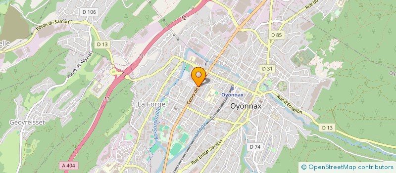 localisation de l'entreprise MONSIEUR ANDRE RAPALLINI à OYONNAX