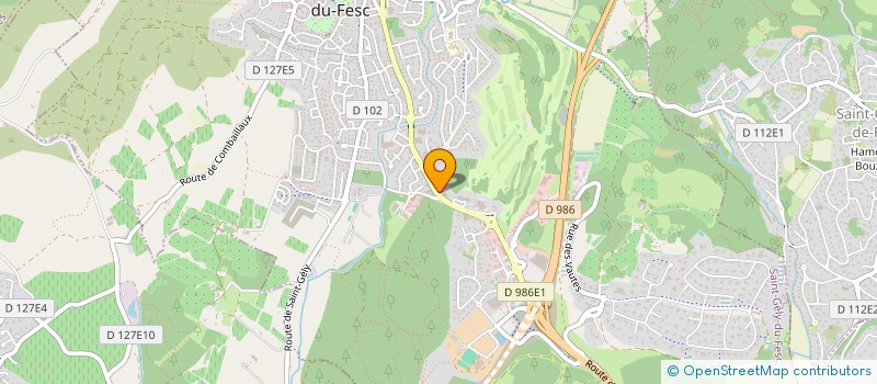 localisation de l'entreprise MONSIEUR ANDRE ROMAN à SAINT-GELY-DU-FESC